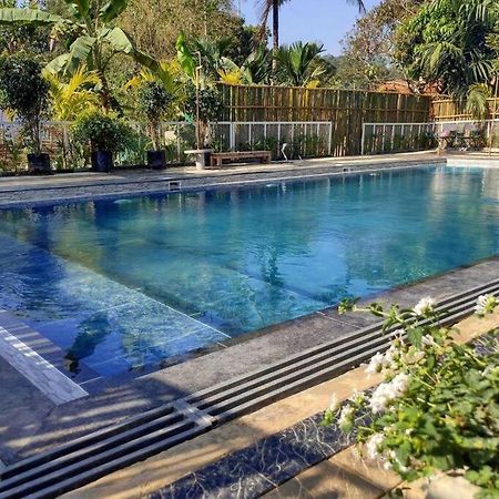 Ibiza Wonderland , Meppadi Wayanad别墅 外观 照片